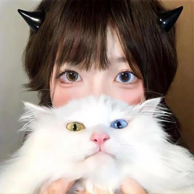 阿比盖尔的派对