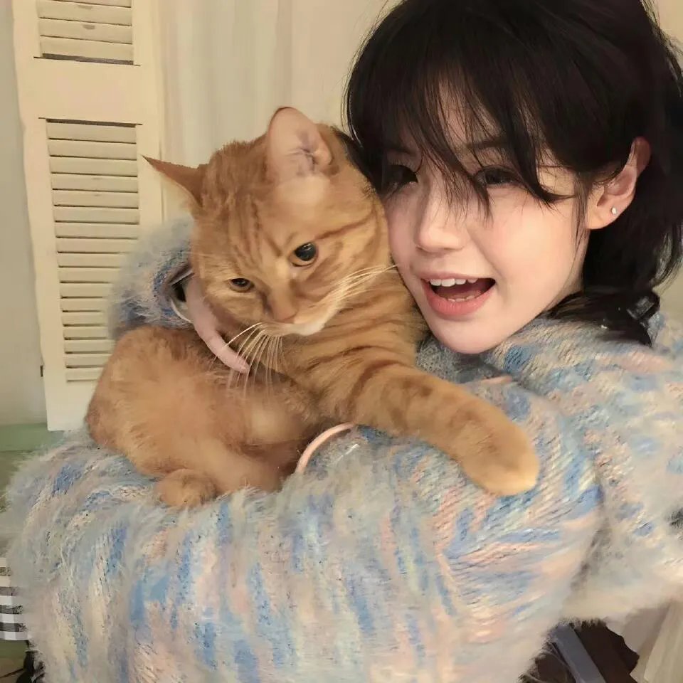 飞虎之潜行极战粤语